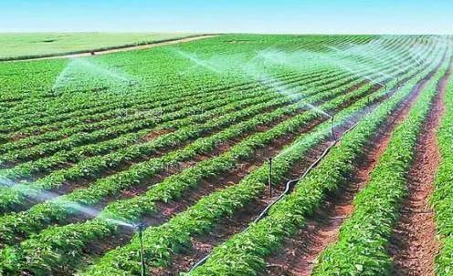 肥美另类骚屄农田高 效节水灌溉